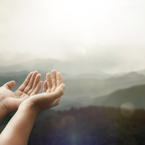 אינטואיציה 